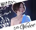 VOICE(ヴォイス)